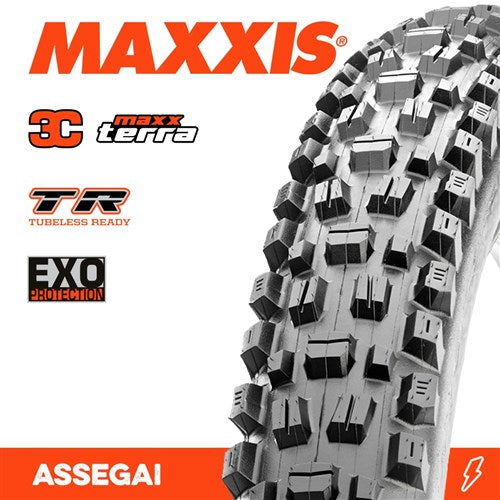 Assegai 29 X 2.50 3C MaxxTerra EXO TR Fold 60TPI E-25